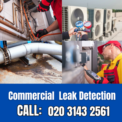 Commercial Leak Detection Services in Bickley | Bickley Leak Detection