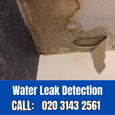 Expert Water Leak Detection Services in Bickley | Bickley Leak Detection